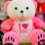 Teddy Bear for Girls Soft Stuffed Lovable Hugable Non-Toxic Fabric Cute Teddy Bear for Birthday / Anniversary / Valentine / Gift Teddy Bear